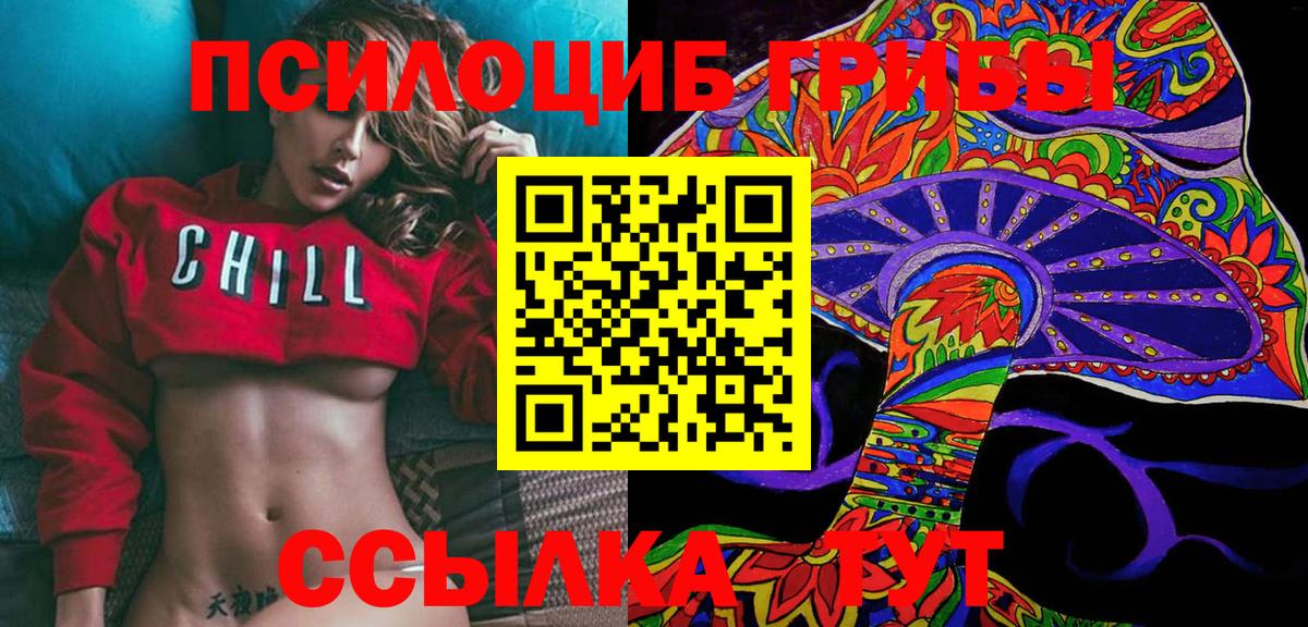 Кисловодск  где можно купить наркотик  Вход с VPN  Псилоцибиновые грибы MAGIC MUSHROOMS  Галлюциногенные грибы GOLDEN TEACHER 